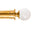 Polished Brass
